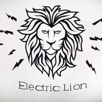 Бригада Electric Lion